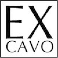 EXCAVO logo, EXCAVO contact details