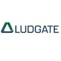 Ludgate Investments Ltd logo, Ludgate Investments Ltd contact details