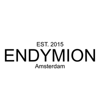 ENDYMION Accountants B.V. logo, ENDYMION Accountants B.V. contact details