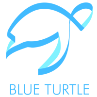 Blue Turtle Tax BV logo, Blue Turtle Tax BV contact details