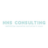 nns consulting BV logo, nns consulting BV contact details