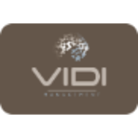 VIDI-Management logo, VIDI-Management contact details