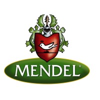 Mendelspeck Srl logo, Mendelspeck Srl contact details