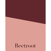 BEETROOT logo, BEETROOT contact details