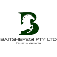 Baitshepegi (Pty) Ltd logo, Baitshepegi (Pty) Ltd contact details