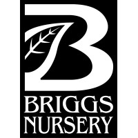 Briggs Nursery logo, Briggs Nursery contact details