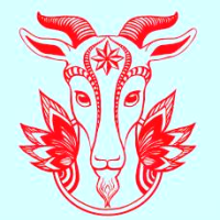 Flying Goat Camp & Hostel logo, Flying Goat Camp & Hostel contact details