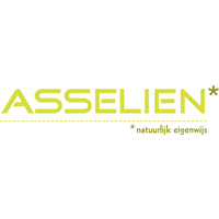 Asselien logo, Asselien contact details