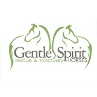 GENTLE SPIRIT HORSES RESCUE & SANCTUARY logo, GENTLE SPIRIT HORSES RESCUE & SANCTUARY contact details