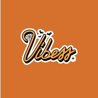 Vibess logo, Vibess contact details