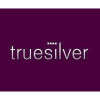 Truesilver WEB/SOCIAL/MARKETING logo, Truesilver WEB/SOCIAL/MARKETING contact details