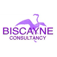 Biscayne Consultancy logo, Biscayne Consultancy contact details