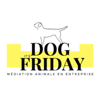 DOG FRIDAY logo, DOG FRIDAY contact details