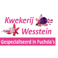 Kwekerij Wesstein logo, Kwekerij Wesstein contact details