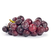 The Wine Companions logo, The Wine Companions contact details