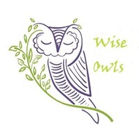 Wise Owls logo, Wise Owls contact details