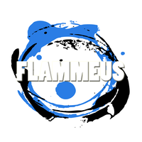 Verkeersschool Flammeus logo, Verkeersschool Flammeus contact details