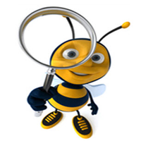 HumanBeeing ICT logo, HumanBeeing ICT contact details