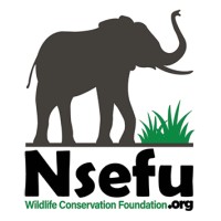 NSEFU WILDLIFE CONSERVATION FOUNDATION logo, NSEFU WILDLIFE CONSERVATION FOUNDATION contact details