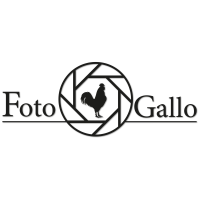 FotoGallo logo, FotoGallo contact details