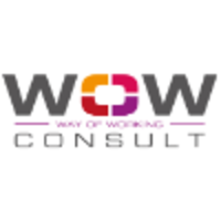 WoW-consult logo, WoW-consult contact details