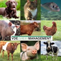 VDE Agro Management logo, VDE Agro Management contact details