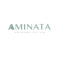 AMINATA HOLDINGS logo, AMINATA HOLDINGS contact details