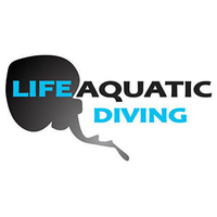 Life Aquatic Diving logo, Life Aquatic Diving contact details