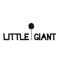 LittleGiant logo, LittleGiant contact details