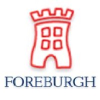 Foreburgh Financiële Planning logo, Foreburgh Financiële Planning contact details