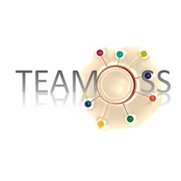 Team of System Solutions logo, Team of System Solutions contact details