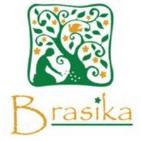 Brasika Consulting (Pty) Ltd logo, Brasika Consulting (Pty) Ltd contact details