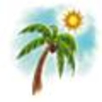 Sunshine Bookkeeping logo, Sunshine Bookkeeping contact details