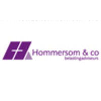 ALH Hommersom & co belastingadviseurs logo, ALH Hommersom & co belastingadviseurs contact details