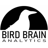 Bird Brain Analytics logo, Bird Brain Analytics contact details