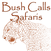 Bush Calls Safaris logo, Bush Calls Safaris contact details