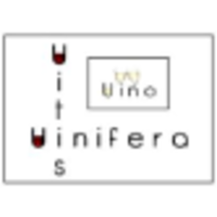 Vitis Vinifera Vino logo, Vitis Vinifera Vino contact details