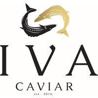 IVA CAVIAR & FINE FOOD logo, IVA CAVIAR & FINE FOOD contact details