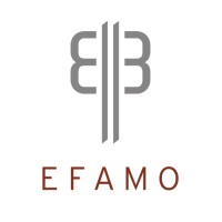 Efamo Beheer B.V. logo, Efamo Beheer B.V. contact details