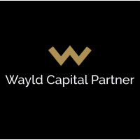 Wayld Capital Partner logo, Wayld Capital Partner contact details