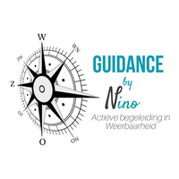 Guidance by Nino logo, Guidance by Nino contact details