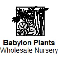 Babylon Plants logo, Babylon Plants contact details