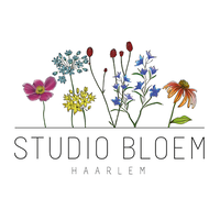 Studio Bloem Haarlem logo, Studio Bloem Haarlem contact details