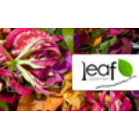 Leaf Bloemen | Capelle aan den IJssel logo, Leaf Bloemen | Capelle aan den IJssel contact details