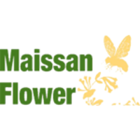 Maissan Flower logo, Maissan Flower contact details