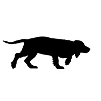 Black Dog Rare Books logo, Black Dog Rare Books contact details