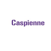 Caspienne logo, Caspienne contact details