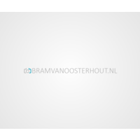 bramvanoosterhout.nl logo, bramvanoosterhout.nl contact details