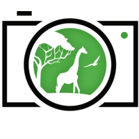 Captured Green - RA Photography logo, Captured Green - RA Photography contact details