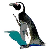 TheLonePenguin logo, TheLonePenguin contact details